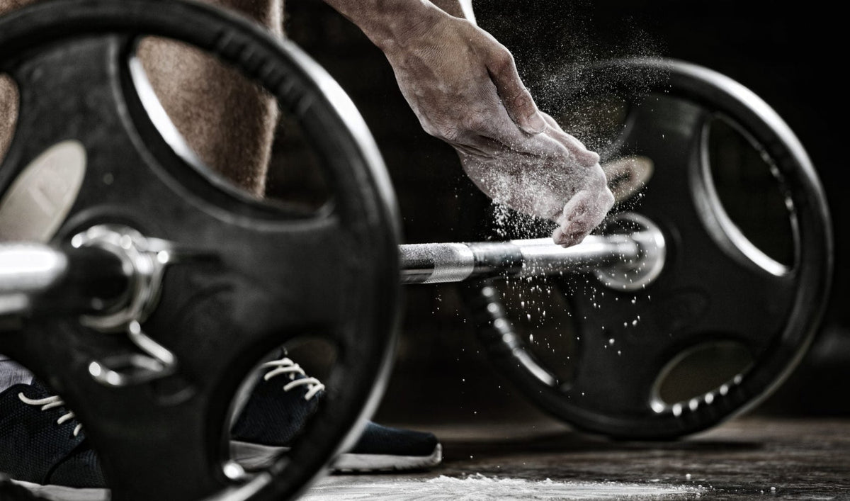 The Arcos Program – Elite